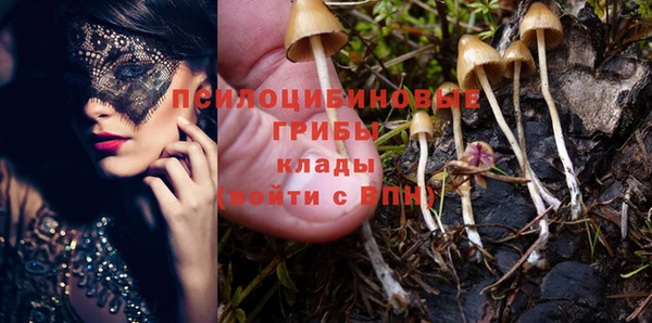 кокаин премиум Алексеевка