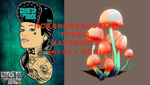 соль ск Алексин