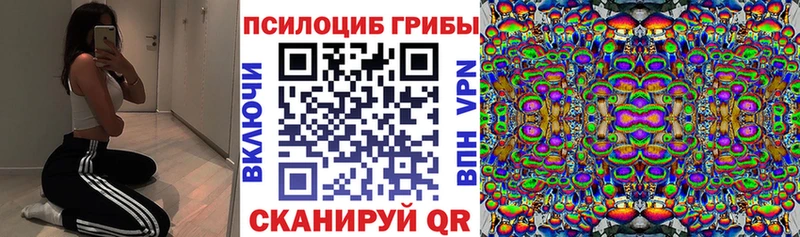 цены Коряжма Галлюциногенные грибы мицелий